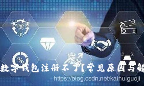 為什么數(shù)字錢包注冊不了？常見原因與解決方案
