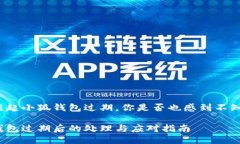 每當(dāng)提起小狐錢包過期，