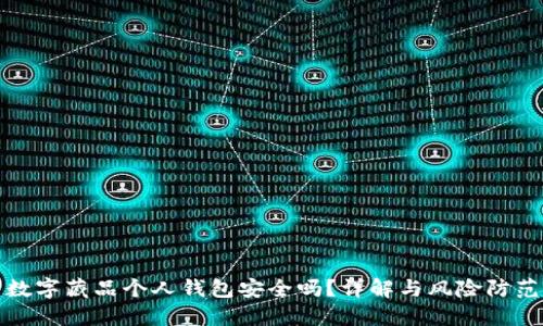 數(shù)字藏品個(gè)人錢包安全嗎？詳解與風(fēng)險(xiǎn)防范