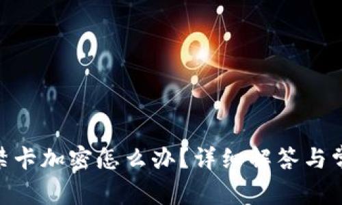 vivo錢包門禁卡加密怎么辦？詳細(xì)解答與常見問題解析