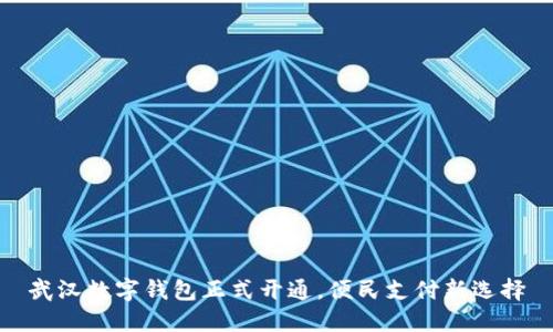武漢數(shù)字錢(qián)包正式開(kāi)通，便民支付新選擇