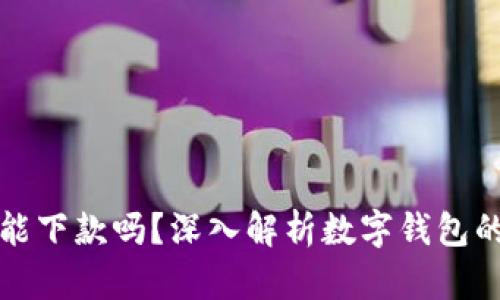 數(shù)字錢包還能下款嗎？深入解析數(shù)字錢包的現(xiàn)狀與未來