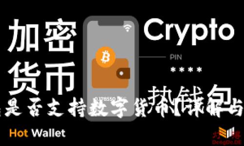 華為錢包是否支持?jǐn)?shù)字貨幣？詳解與未來展望