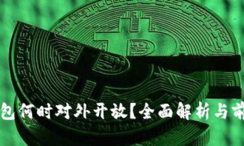 數(shù)字錢包何時(shí)對(duì)外開放？全面解析與前景展望