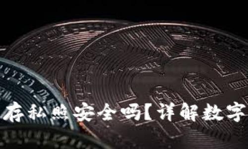 小狐錢包保存私照安全嗎？詳解數(shù)字資產(chǎn)安全性