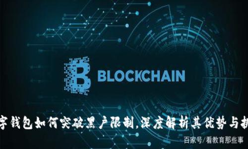 數(shù)字錢包如何突破黑戶限制，深度解析其優(yōu)勢(shì)與挑戰(zhàn)