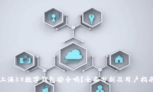 上海58數(shù)字錢包安全嗎？全面分析及用戶指南