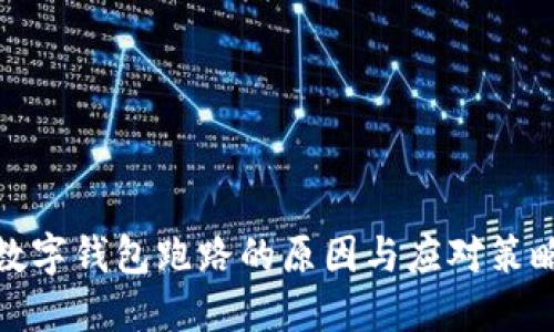 數(shù)字錢包跑路的原因與應(yīng)對(duì)策略