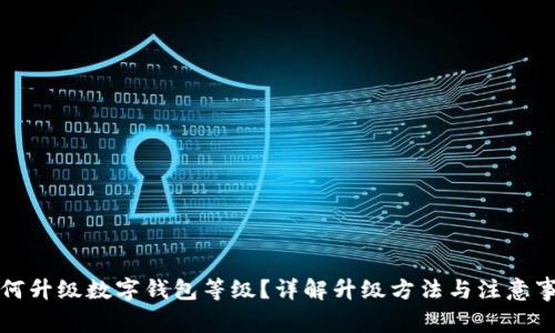 如何升級數(shù)字錢包等級？詳解升級方法與注意事項