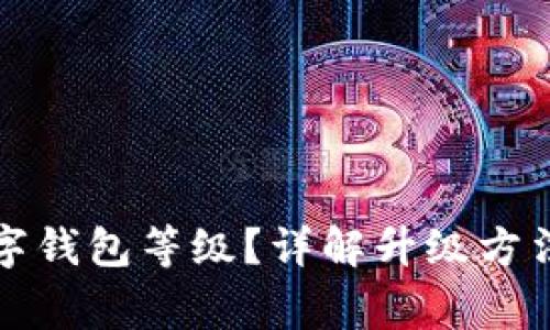 如何升級數(shù)字錢包等級？詳解升級方法與注意事項