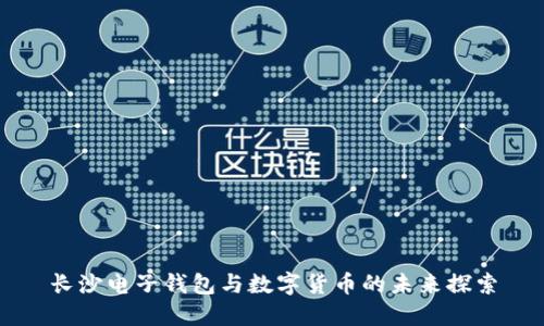長沙電子錢包與數字貨幣的未來探索