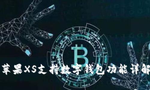 蘋(píng)果XS支持?jǐn)?shù)字錢(qián)包功能詳解