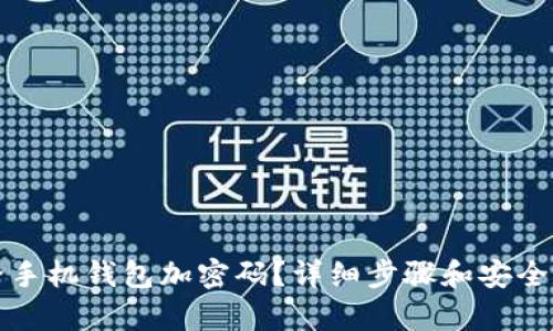 如何給手機(jī)錢包加密碼？詳細(xì)步驟和安全性分析