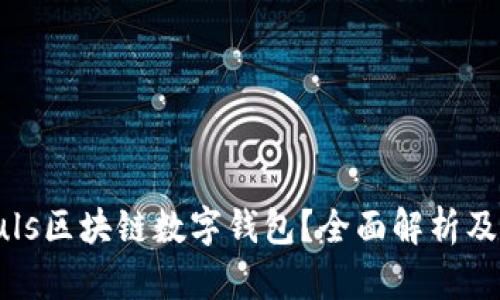 什么是Puls區(qū)塊鏈數(shù)字錢包？全面解析及應用前景