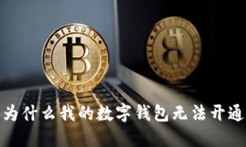 為什么我的數(shù)字錢包無(wú)法開通