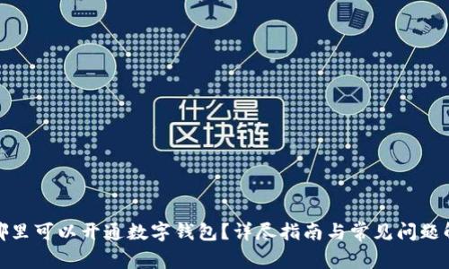 在哪里可以開通數(shù)字錢包？詳盡指南與常見問題解答