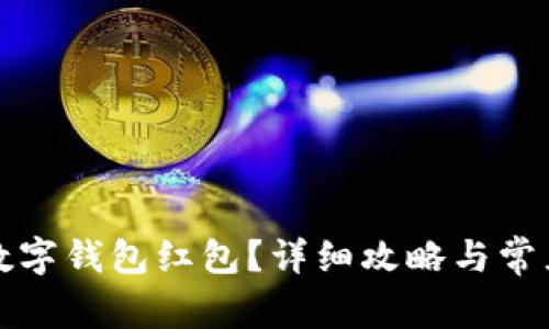 如何申請數(shù)字錢包紅包？詳細攻略與常見問題解答