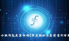  小狐錢包是真的嗎？深度