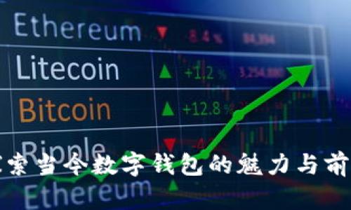 探索當(dāng)今數(shù)字錢(qián)包的魅力與前景