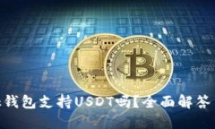 MetaMask錢包支持USDT嗎？全