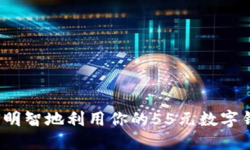 如何明智地利用你的55元數(shù)字錢包？