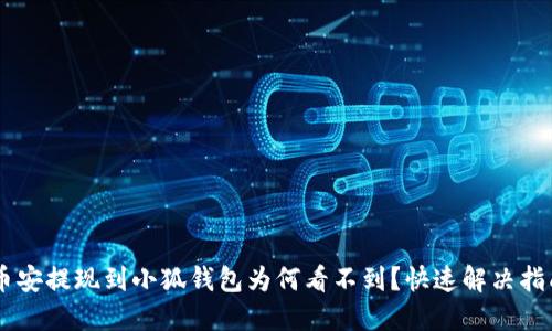 幣安提現(xiàn)到小狐錢(qián)包為何看不到？快速解決指南
