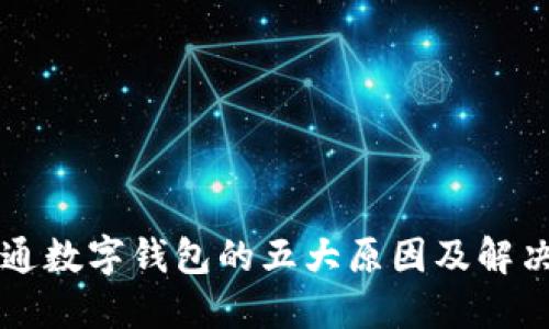 未開(kāi)通數(shù)字錢(qián)包的五大原因及解決方案
