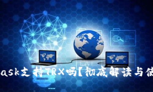 MetaMask支持TRX嗎？徹底解讀與使用指南