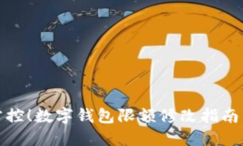 輕松掌控！數(shù)字錢(qián)包限額修改指南與技巧