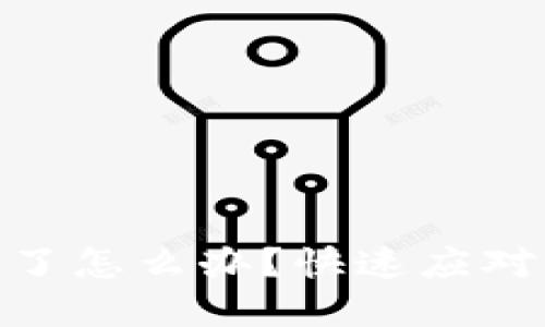 數(shù)字錢包掉了怎么辦？快速應(yīng)對(duì)與補(bǔ)救措施