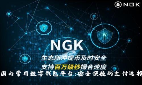 國內(nèi)常用數(shù)字錢包平臺(tái)：安全便捷的支付選擇