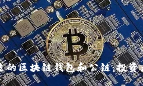 如何選擇合適的區(qū)塊鏈錢(qián)包和公鏈：投資者的詳盡指南