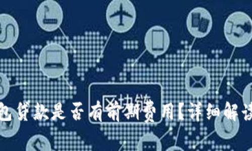 數(shù)字錢包貸款是否有前期費(fèi)用？詳細(xì)解讀與分析