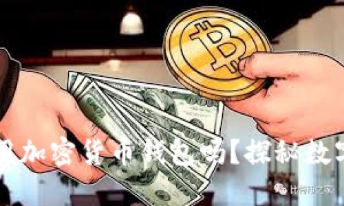國內(nèi)可以使用加密貨幣錢包嗎？探秘數(shù)字資產(chǎn)的未來
