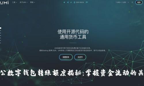 對(duì)公數(shù)字錢包轉(zhuǎn)賬額度揭秘：掌握資金流動(dòng)的關(guān)鍵