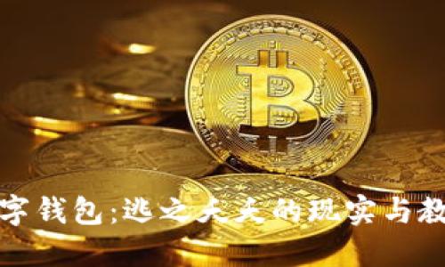 數(shù)字錢包：逃之夭夭的現(xiàn)實與教訓