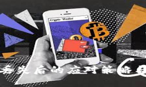 數(shù)字錢包丟失后的應對策略與心理調整