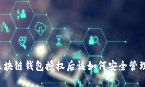區(qū)塊鏈錢(qián)包授權(quán)后該如何安全管理？