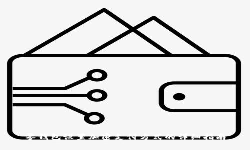 零錢(qián)包設(shè)置加密支付方式的詳細(xì)指南