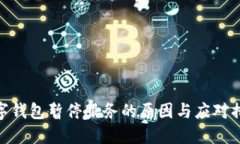 數(shù)字錢包暫停服務(wù)的原因