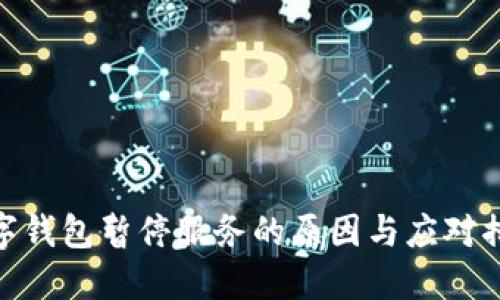 數(shù)字錢包暫停服務(wù)的原因與應(yīng)對(duì)措施