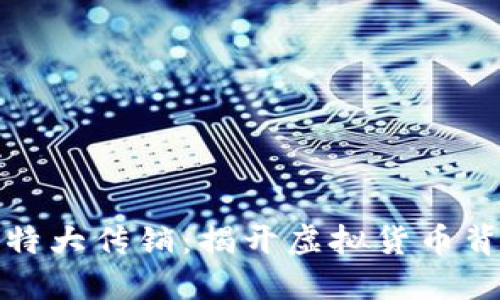 數(shù)字錢包特大傳銷：揭開虛擬貨幣背后的陰影