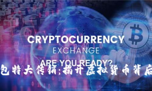 數(shù)字錢包特大傳銷：揭開虛擬貨幣背后的陰影