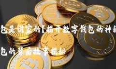 小狐錢包是誰家的？揭開
