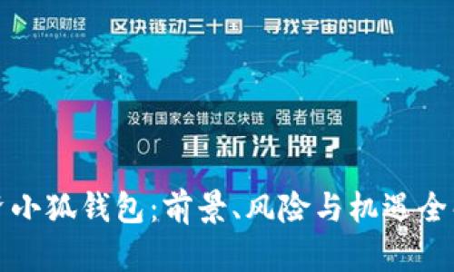 投資小狐錢包：前景、風(fēng)險與機遇全解析