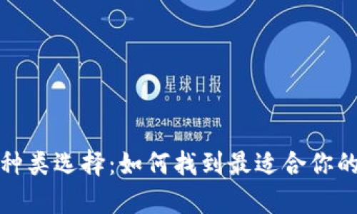 數(shù)字貨幣錢(qián)包的多種類選擇：如何找到最適合你的數(shù)字資產(chǎn)存儲(chǔ)方式
