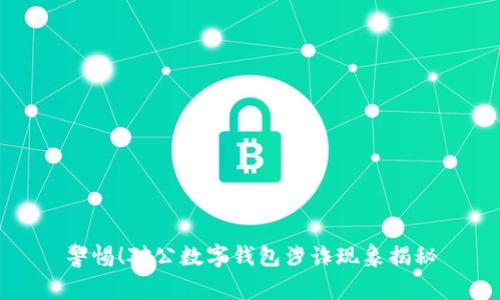 警惕！對(duì)公數(shù)字錢包涉詐現(xiàn)象揭秘