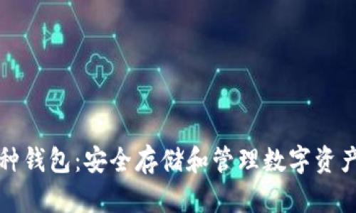 區(qū)塊鏈多幣種錢包：安全存儲和管理數(shù)字資產(chǎn)的最佳選擇