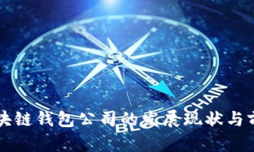 龍巖區(qū)塊鏈錢包公司的發(fā)展現(xiàn)狀與前景分析