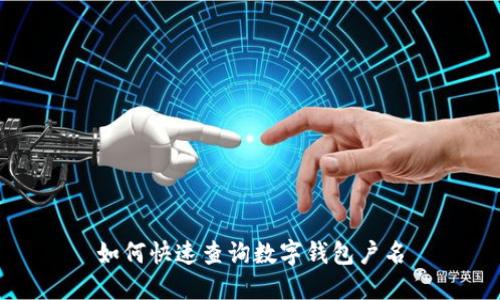 如何快速查詢數(shù)字錢包戶名